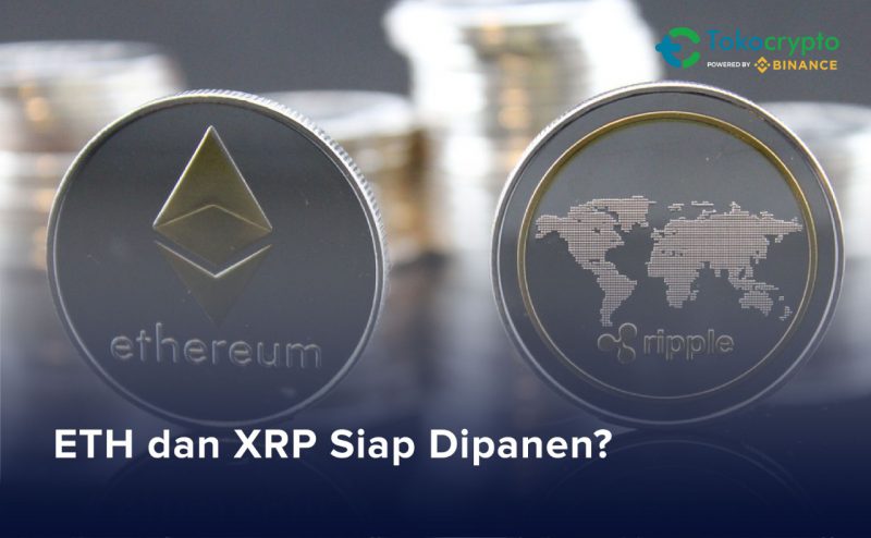 ETH XRP Siap Panen