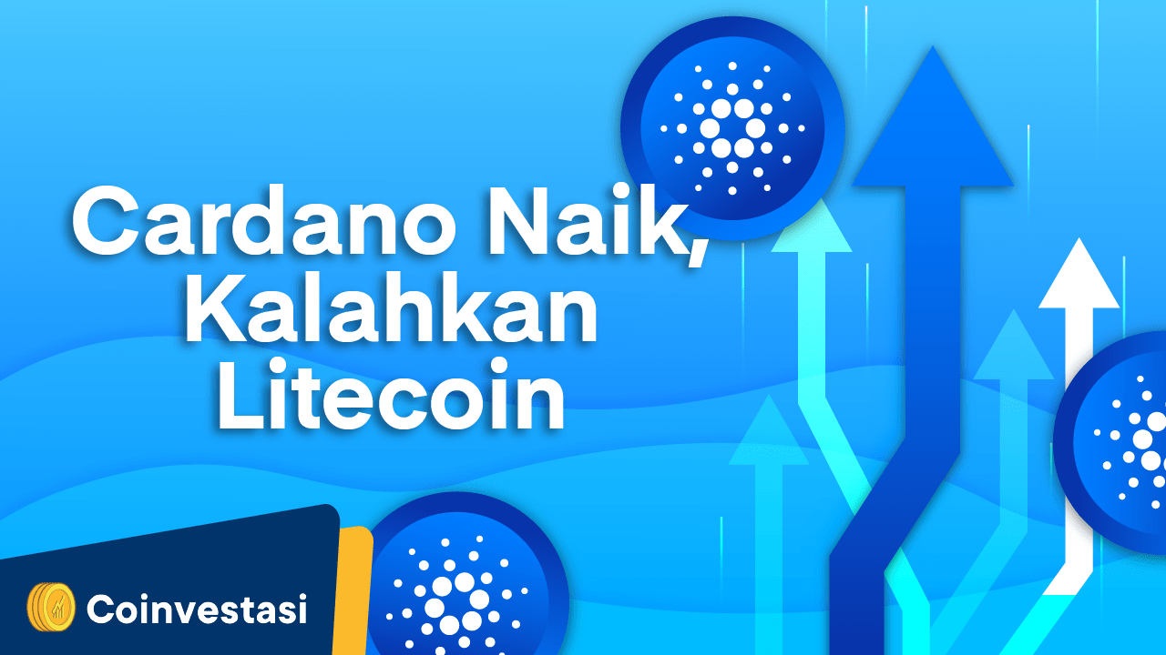 prediksi cardano