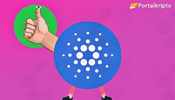 cardano profit