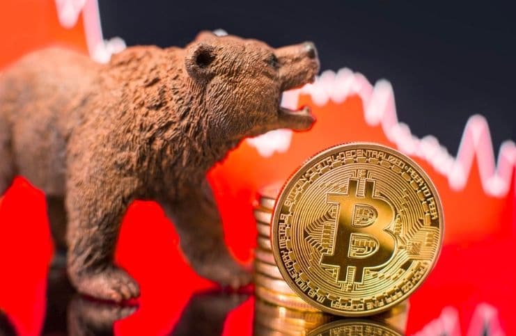 Cara Cuan Ketika Bearish Market