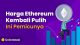 Harga Ethereum Kembali Pulih, Ini Pemicunya